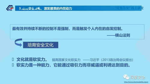 精品PPT 筑牢防线，共筑平安——互联网安全服务机构建立健全全员安全生产责任制指南